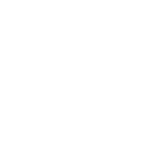 wolfw1pg icon