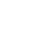 wolfw1pg icon