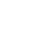 wolfw1pg icon